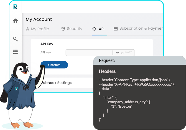 Reachapi: Seamless B2B Data Integration For Developers