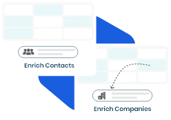 Feature Illustration
